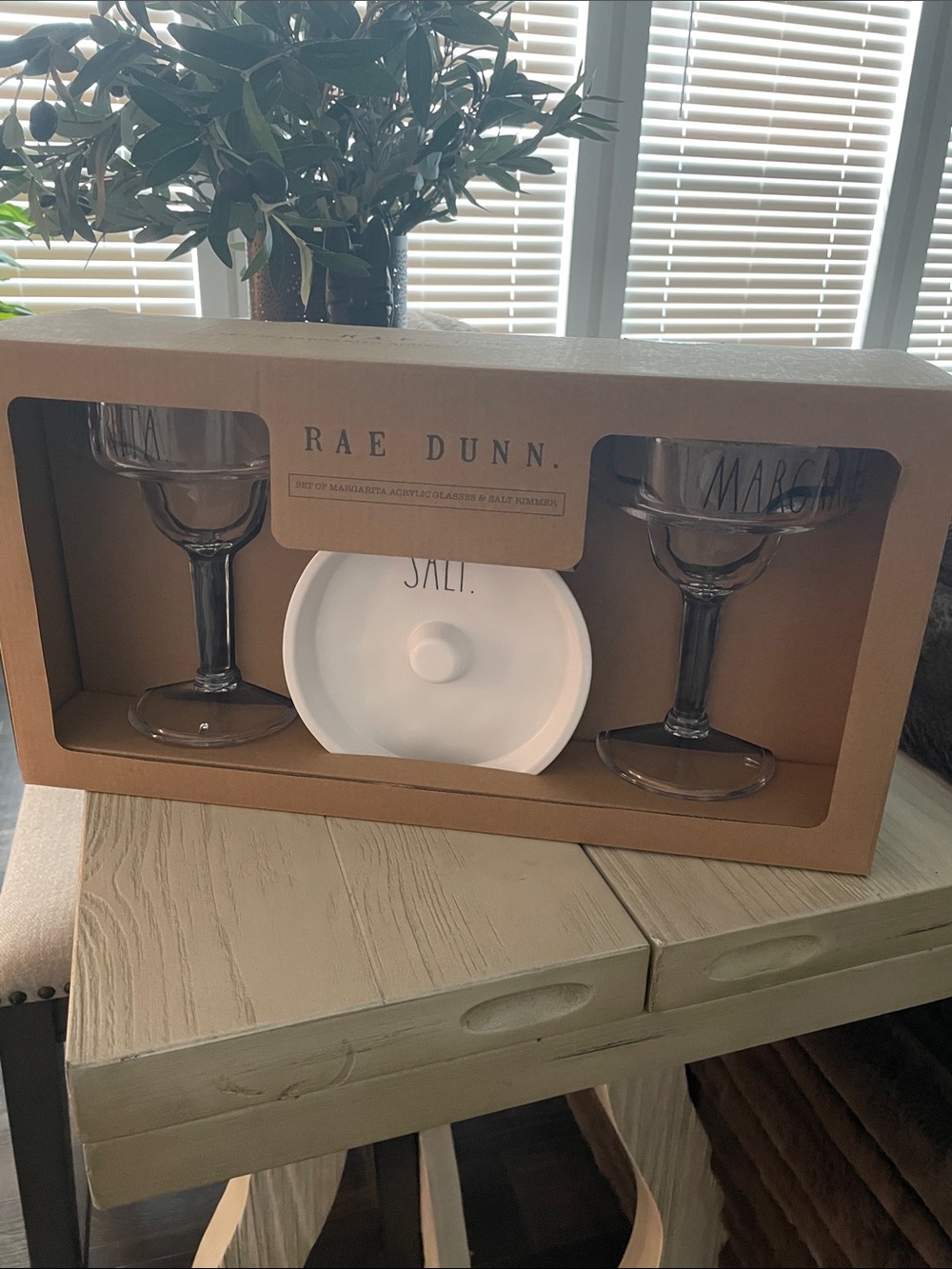 Rae Dunn Acrylic Margarita Set